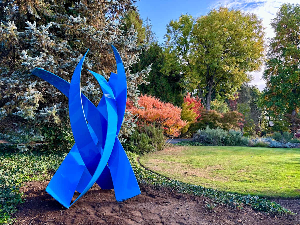 Come Back to California by Matt Devine Inc. 