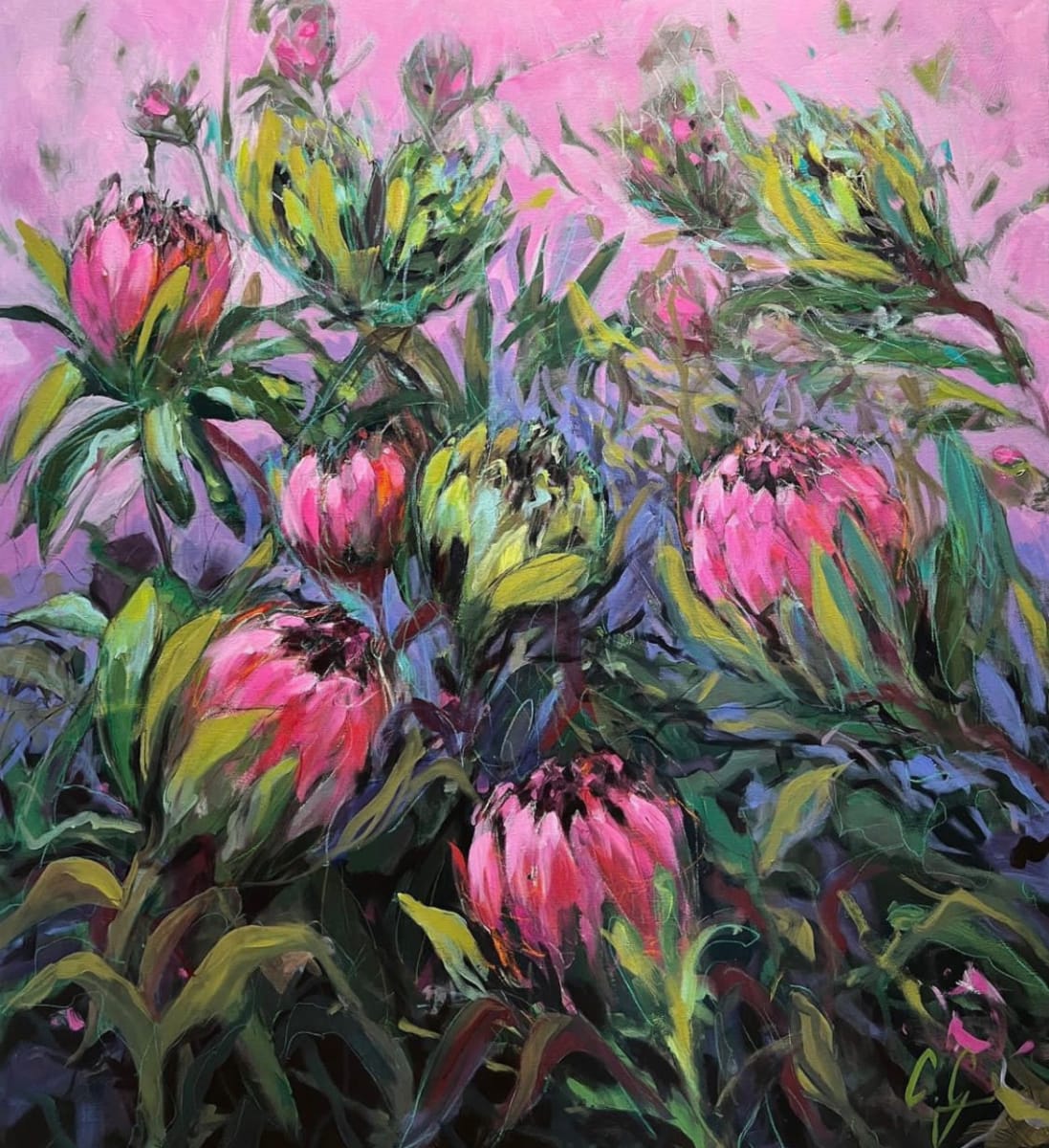 My Pleasure, My Proteas by Catherine Garrod 