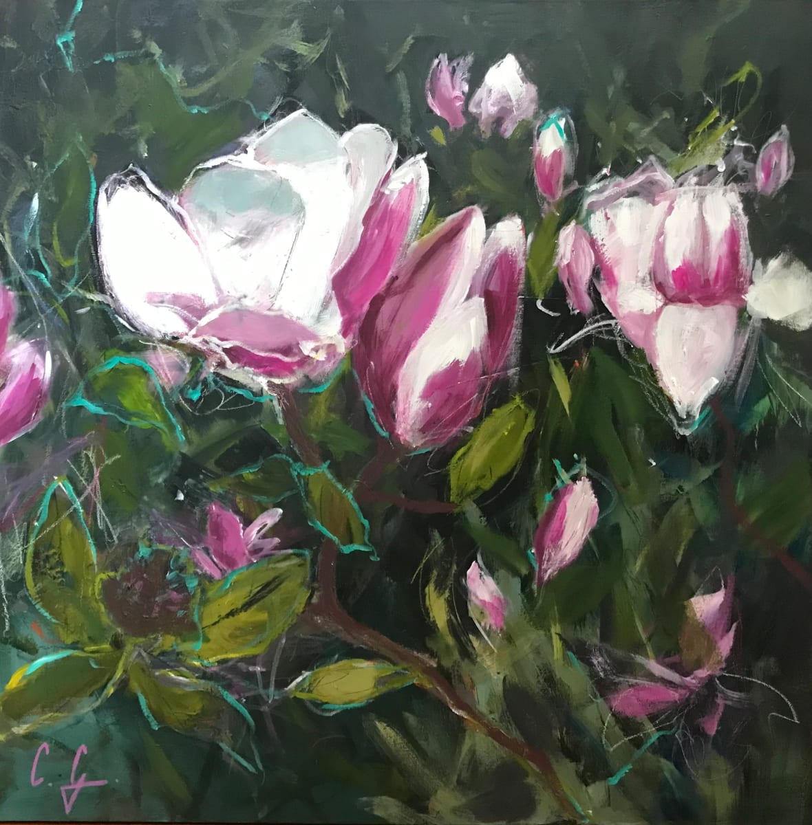 Magnolias by Catherine Garrod 