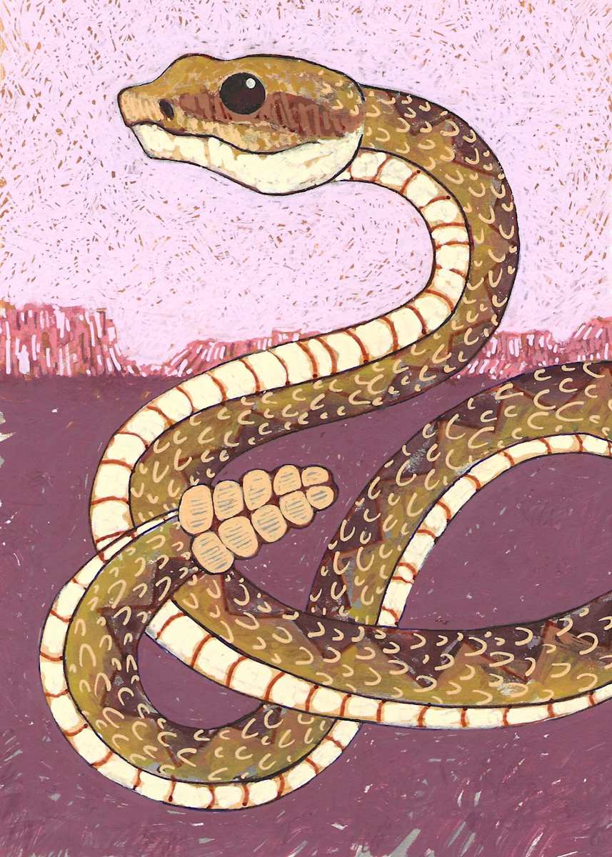 Center the Snake (Talisman of Wonder) by Layla Luna 