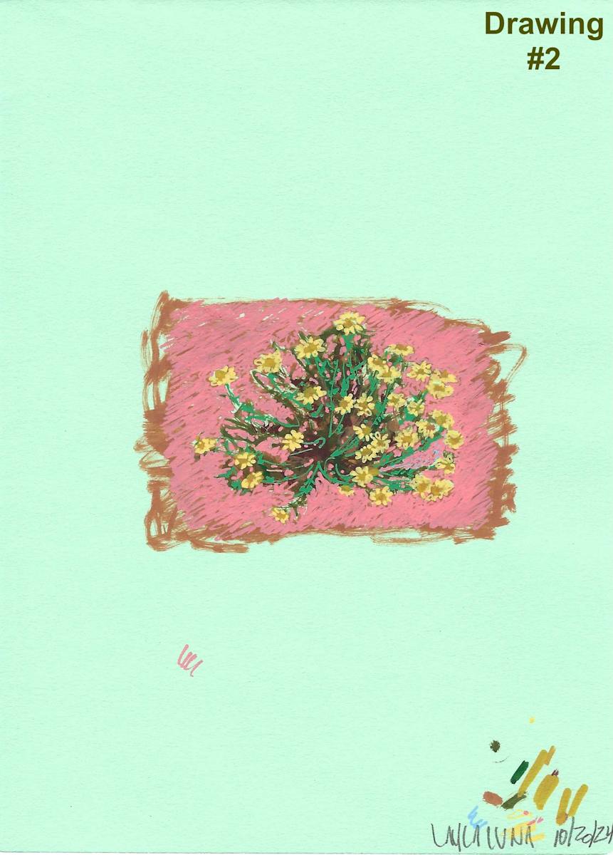 Broomweed Pink (#2) by Layla Luna 