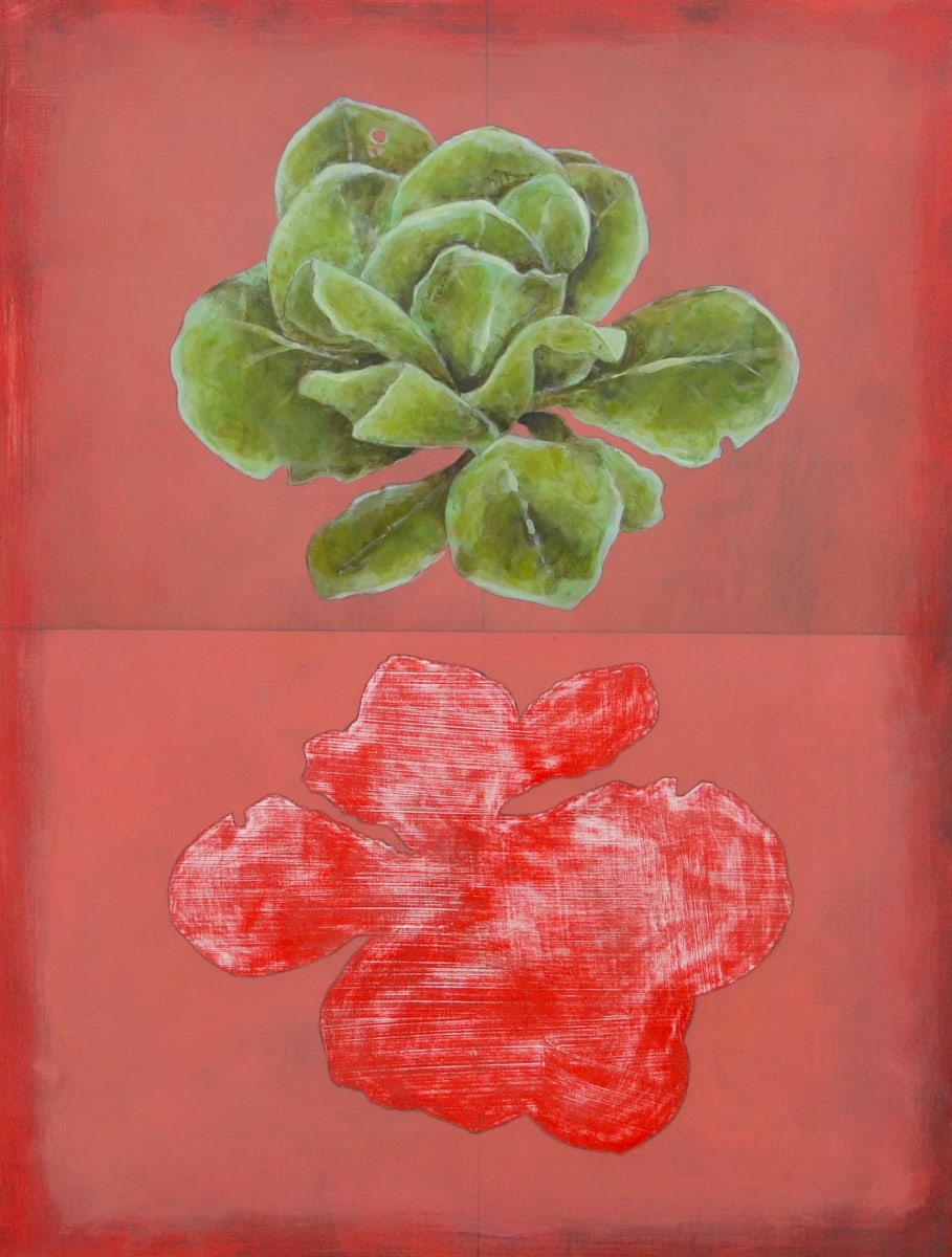 Someone Else's Homestead: Cabbage, Image 5.