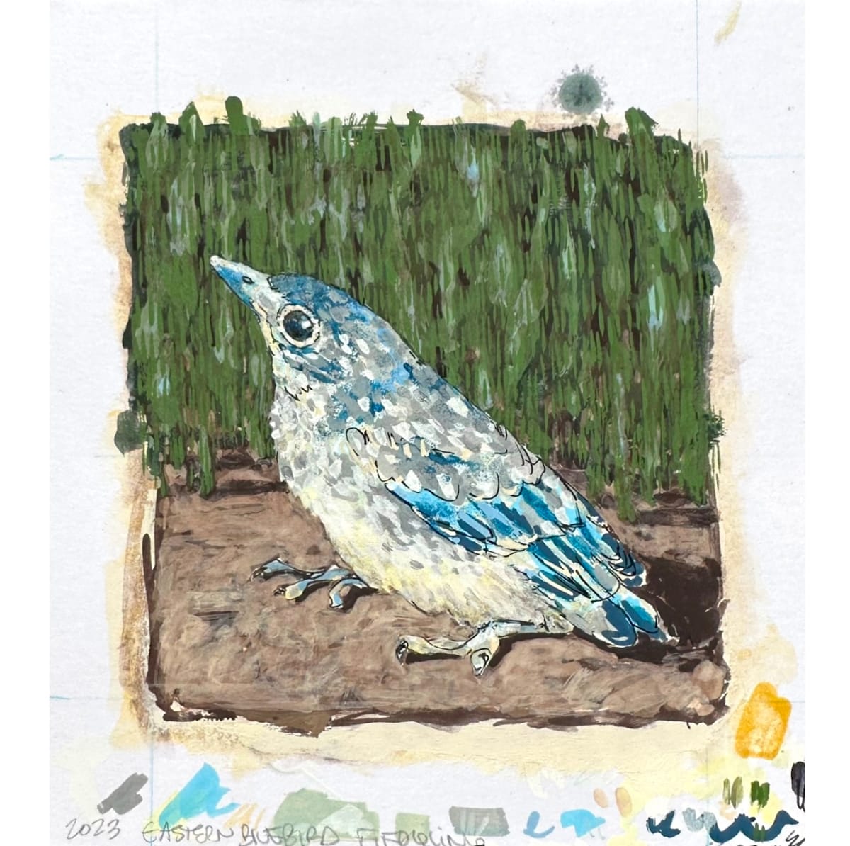 Eastern Bluebird Fledgling by Layla Luna, Image 2.