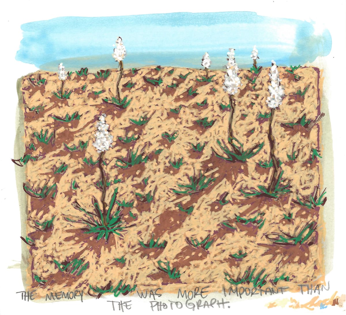 Memory Vs Photo by Layla Luna 