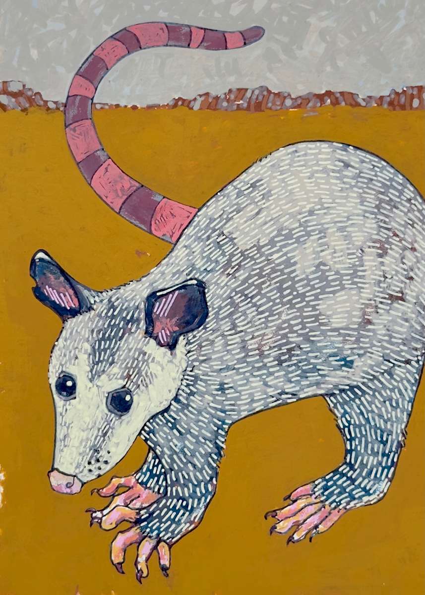 Pearl the Possum (Talisman of Resourcefulness) by Layla Luna 