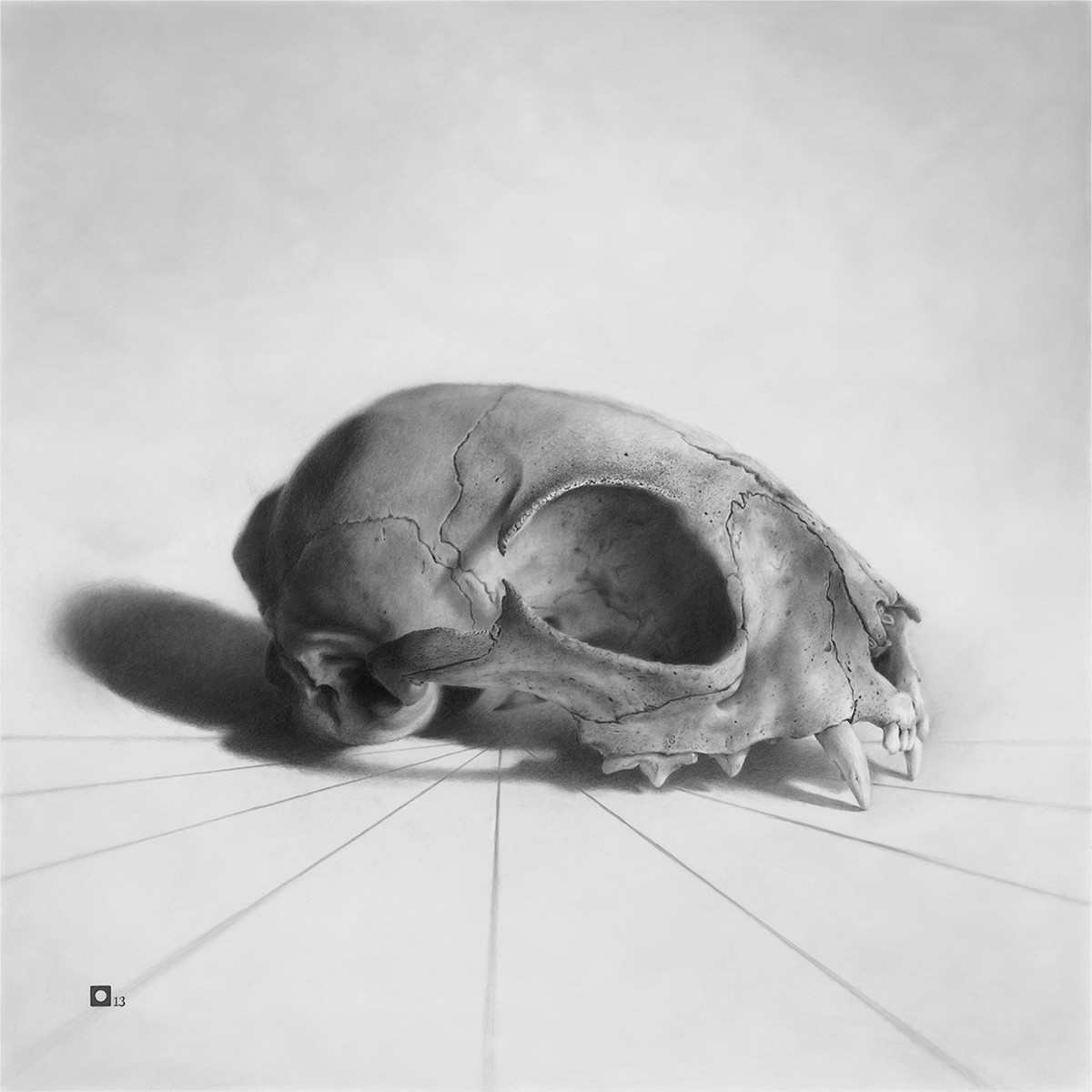  Cat Skull "9" The Series by Marshall Harris 