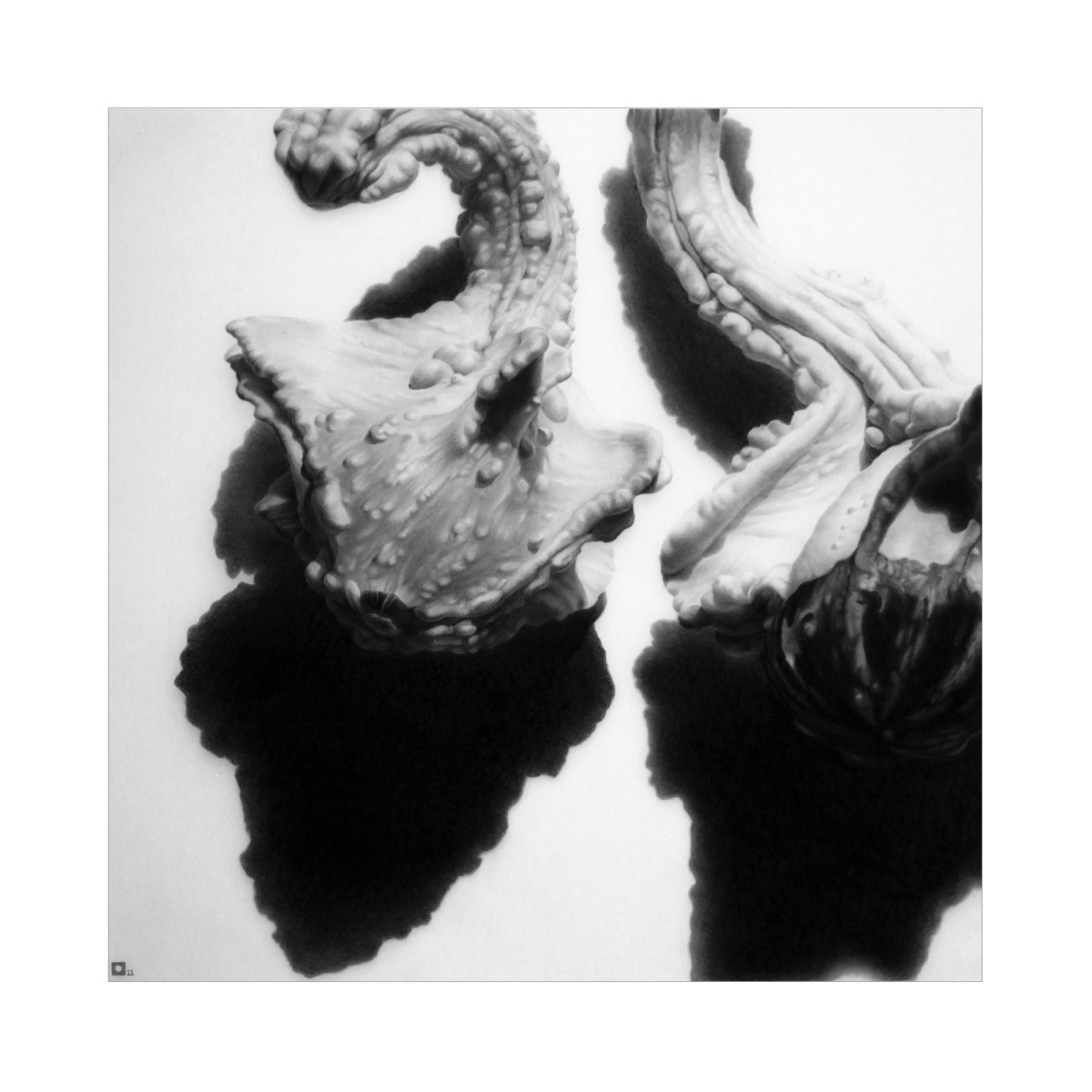 Naughty Vegetables #1 by Marshall Harris 