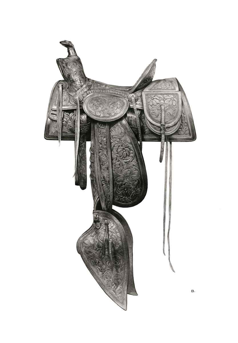 "The Botanist"  Buffalo Bill Saddle Portrait circa by Marshall Harris 