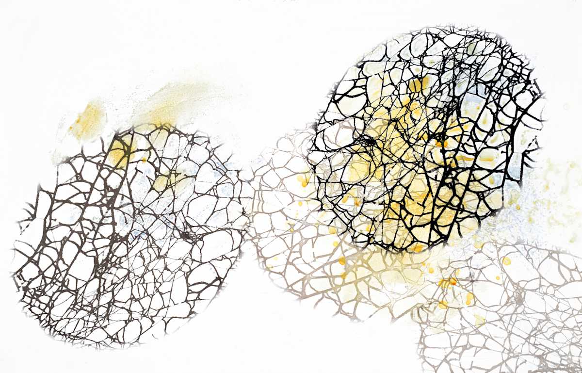 Can U Hear Me Now? by Clare Winslow 