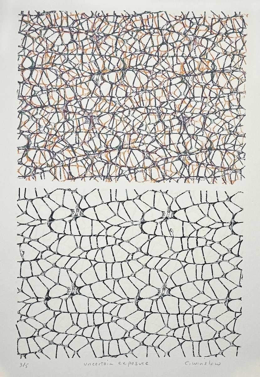 Uncertain exposures by Clare Winslow 