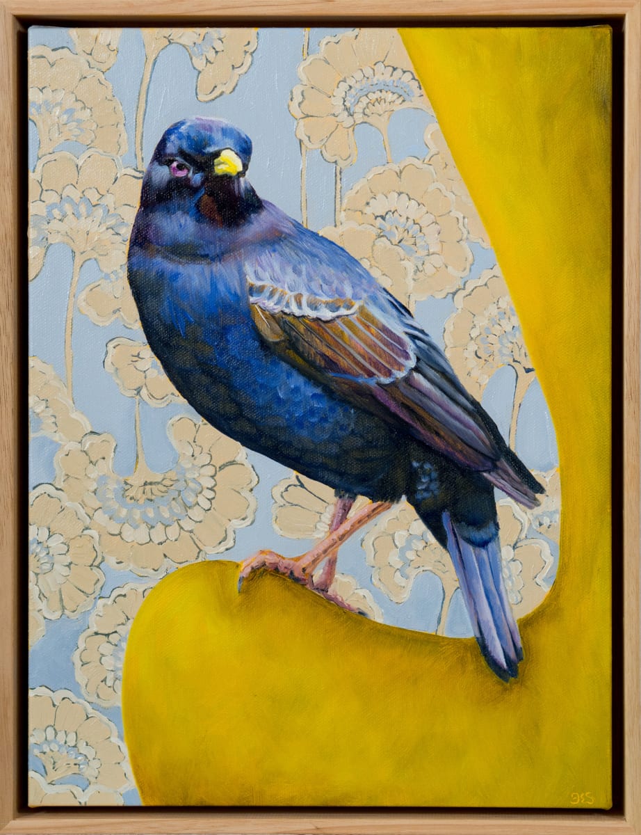 The borrower by Fiona Smith 