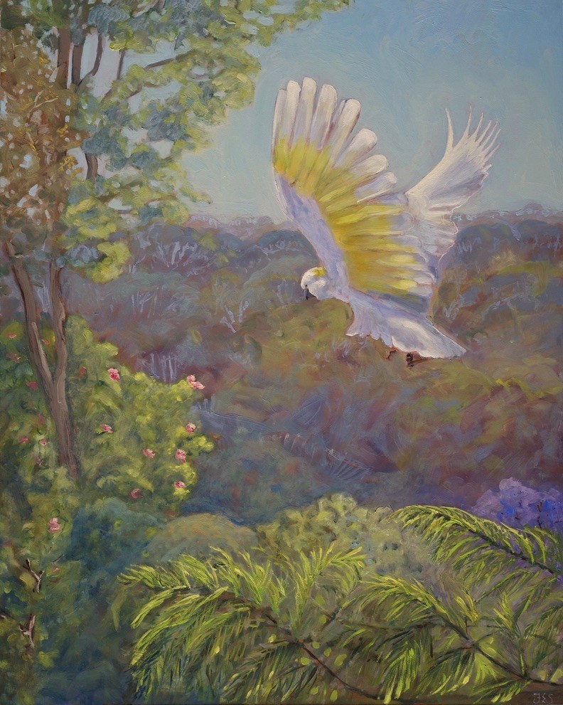 The visit - Sulphur crested cockatoo by Fiona Smith 