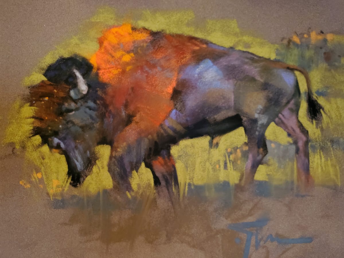 Lamar Valley Bison, Yellowstone by Jennifer Evenhus  Image: Lamar Valley Bison, Yellowstone