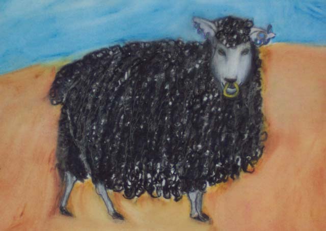 Black Sheep by KJ Bateman 