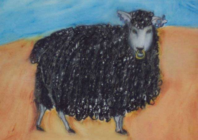 Black Sheep by KJ Bateman, Image 1.