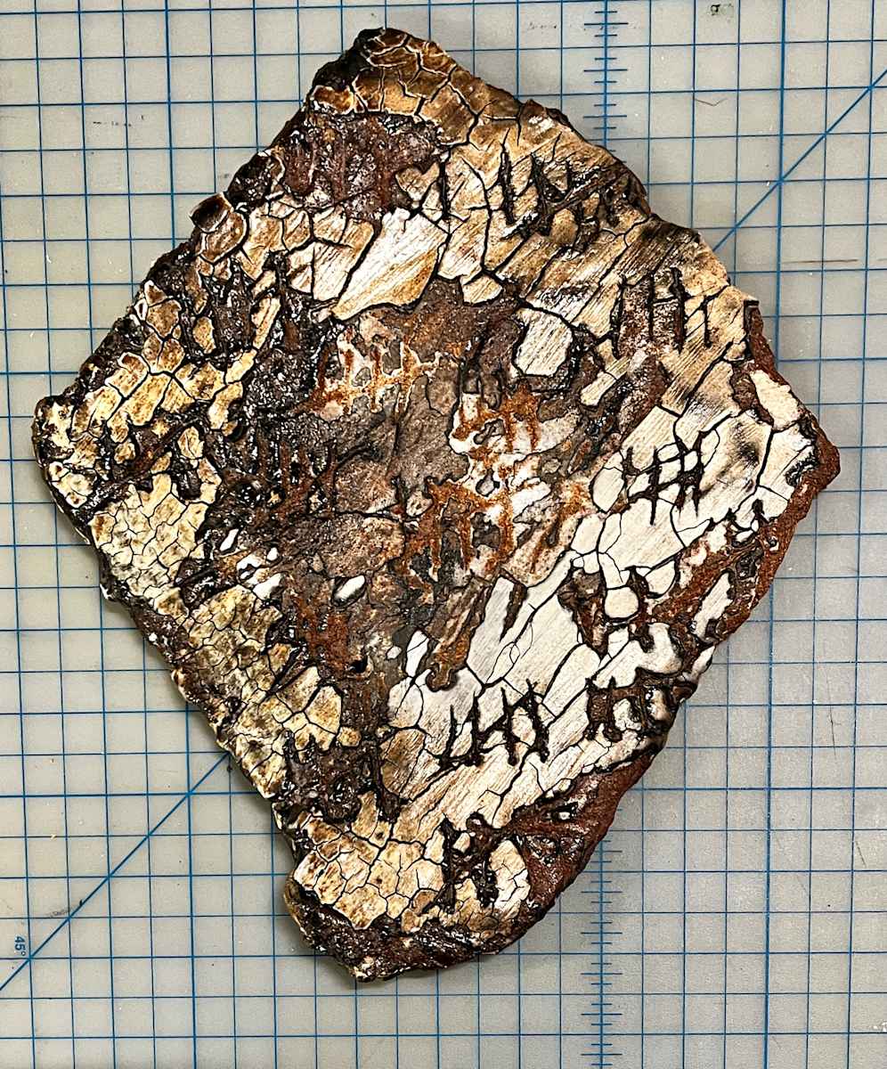 EC08, Image 1.
