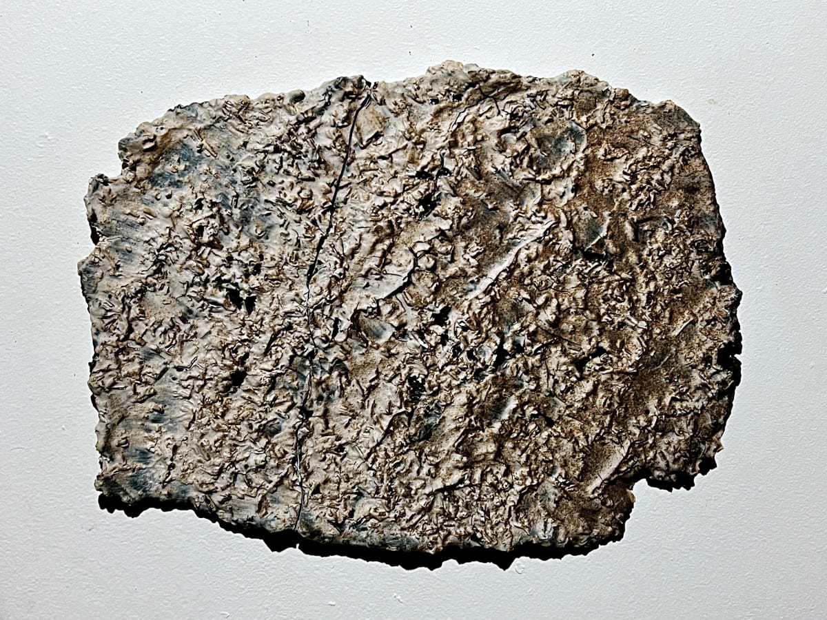 PU10 