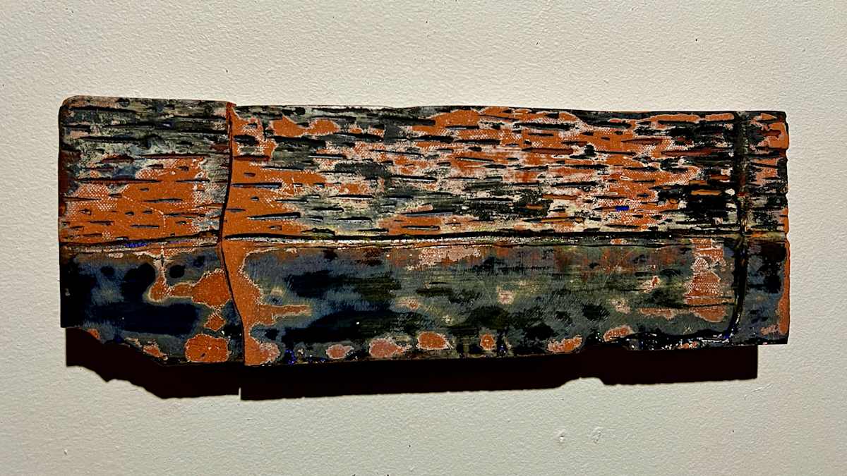 PU11, Image 1.