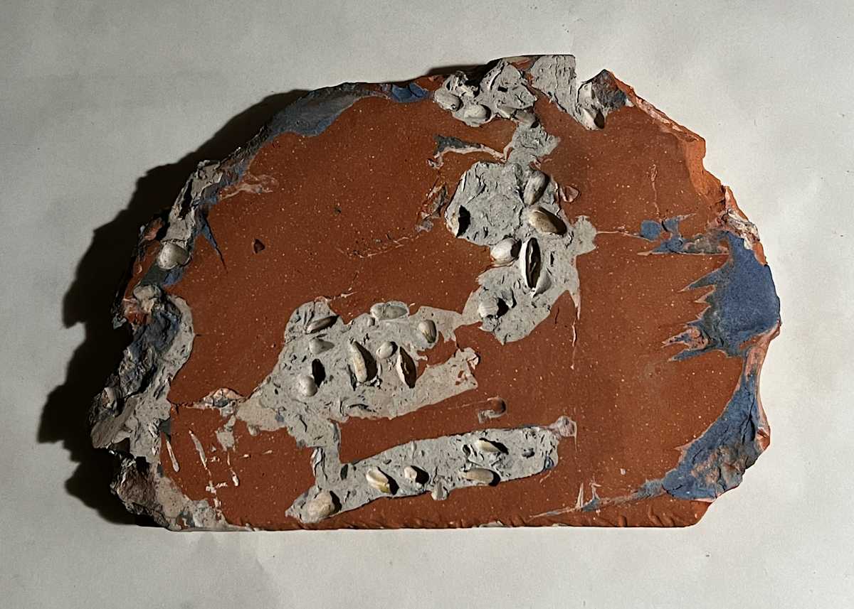 SS38, Image 1.