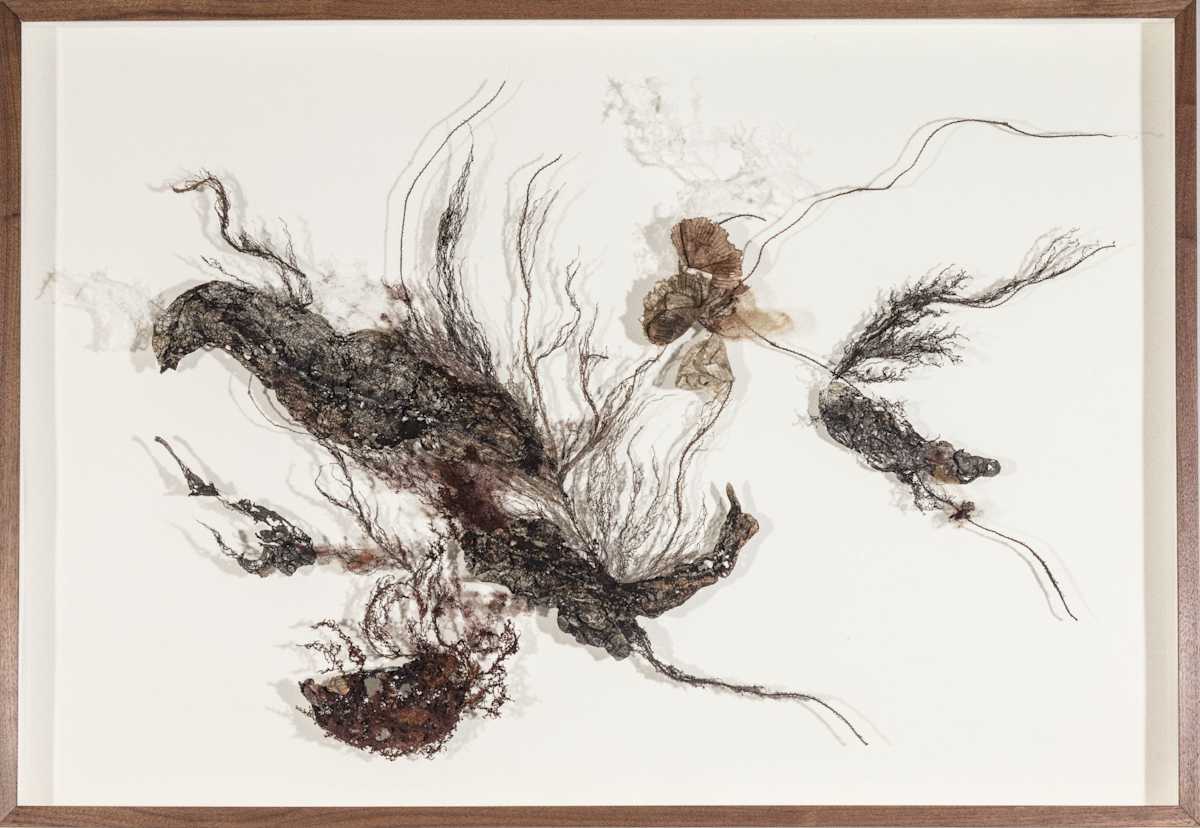 In A Barkly Manner by Fisher Carla, Image 1.