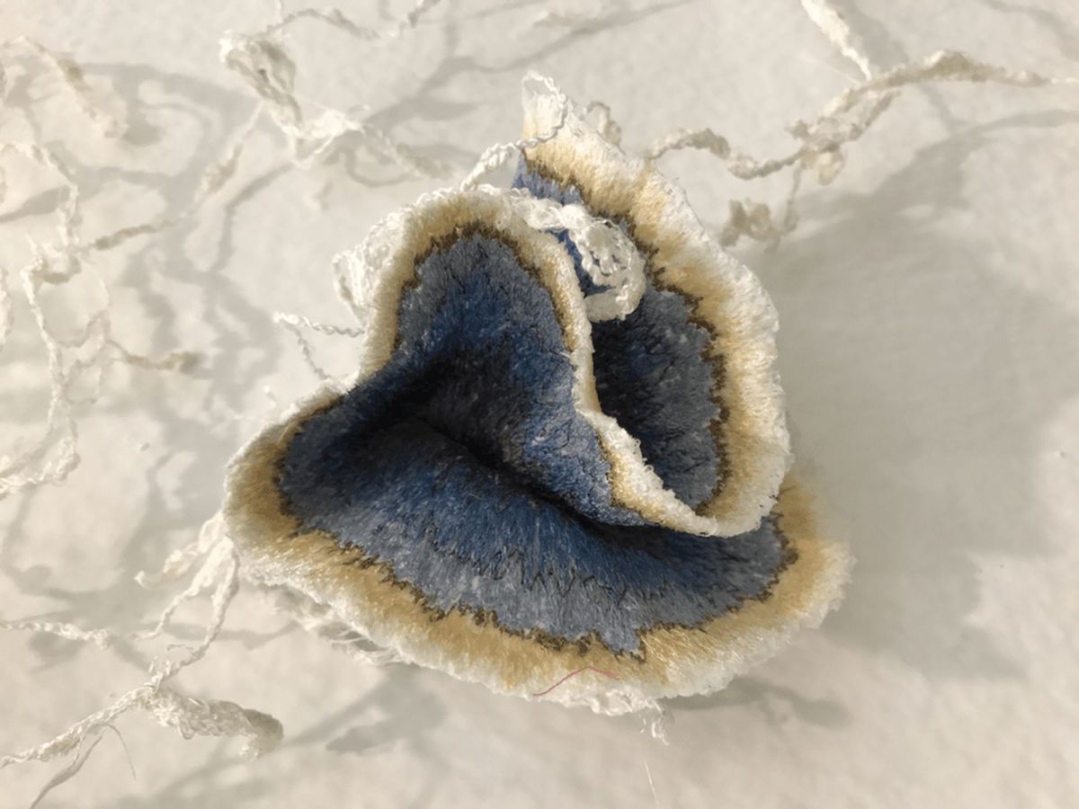 Those Pesky 'Shrooms by Fisher Carla, Image 5.