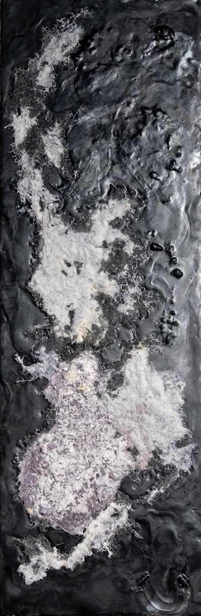 Cosmic Lint by Fisher Carla, Image 1.
