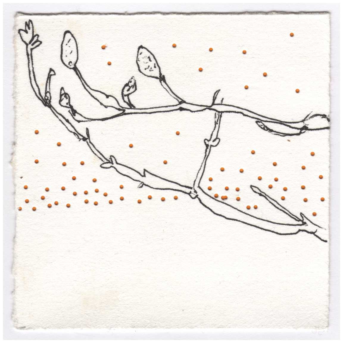 The Star Magnolia and the Lilac Today -- in January. #027 by Raya Bodnarchuk, Estate, Image 1.