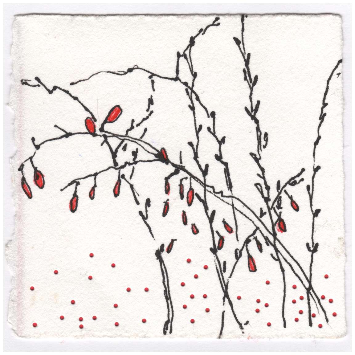 Barberry at Dusk. #030 by Raya Bodnarchuk, Estate, Image 1.