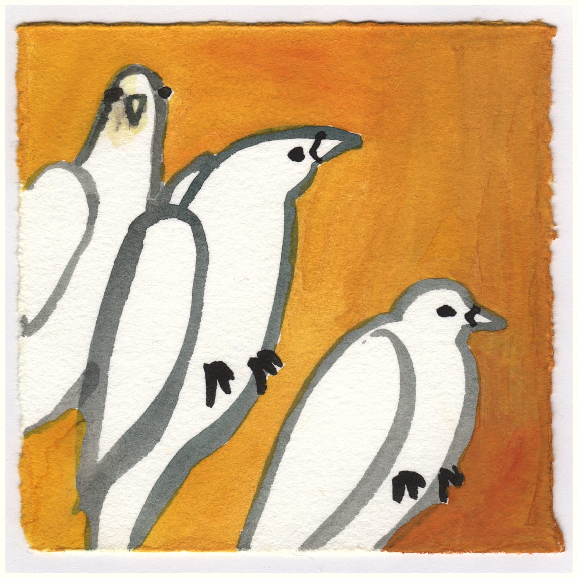 Homing Doves Waiting to Go Up in Virginia. #084 by Raya Bodnarchuk, Estate, Image 1.