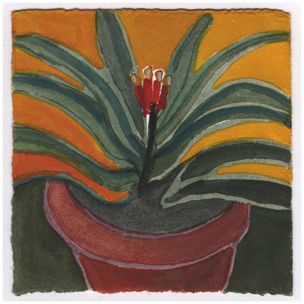 The Clivia Starting to Bloom. #090 by Raya Bodnarchuk, Estate, Image 1.