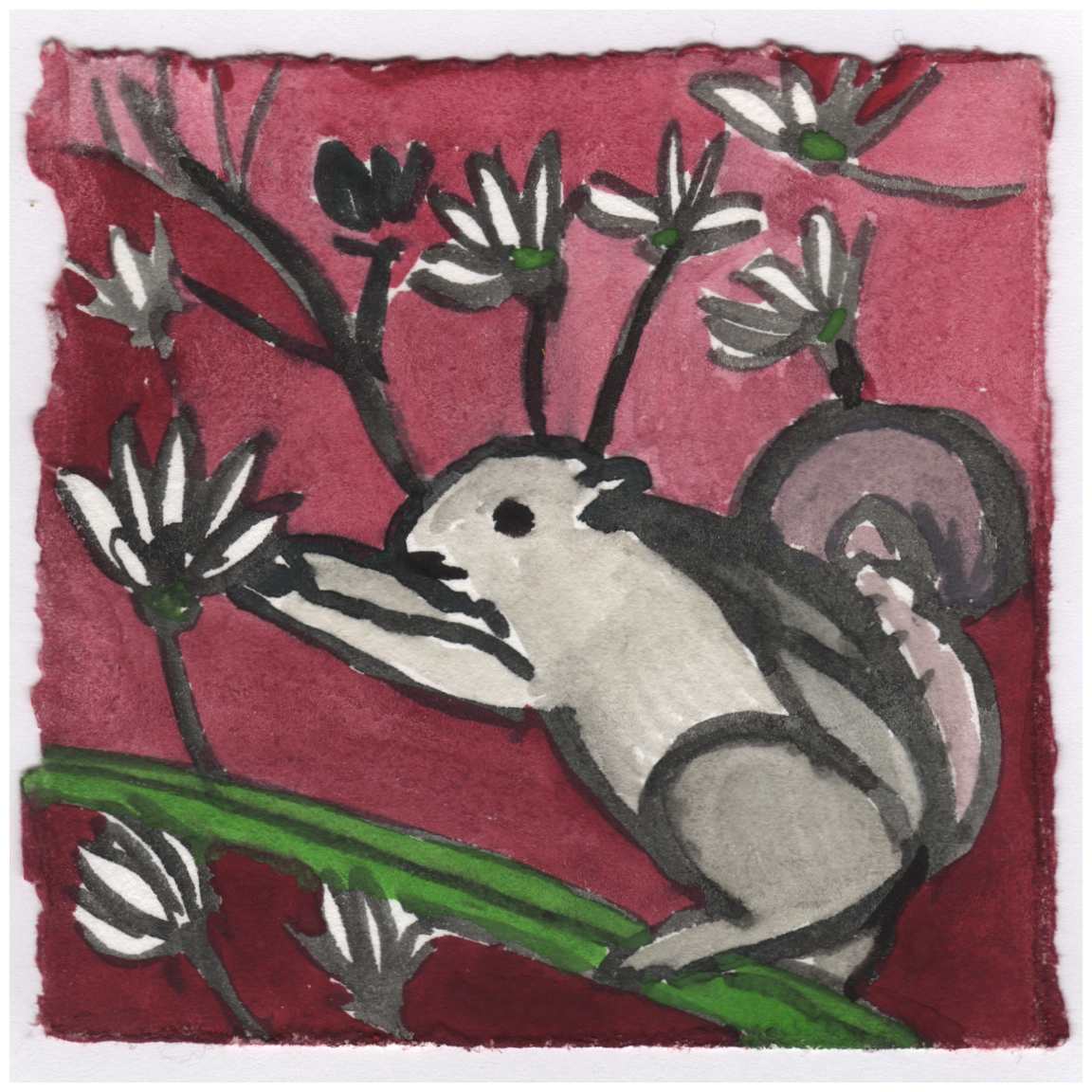 A Squirrel Eating a Star Magnolia Bud. #109 by Raya Bodnarchuk, Estate, Image 1.