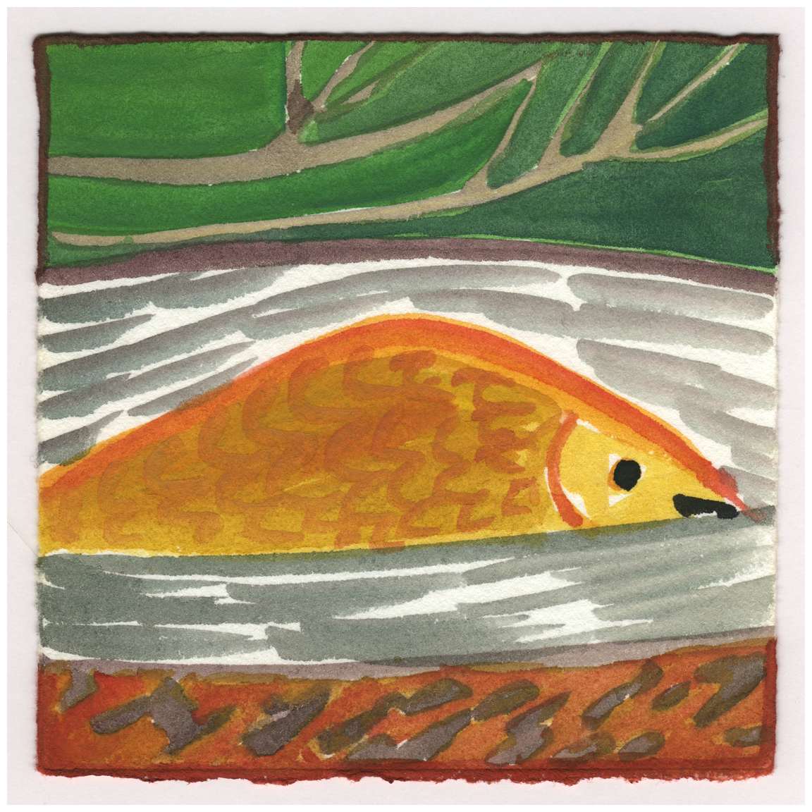 A Carp Playing in the Canal. #144 by Raya Bodnarchuk, Estate, Image 1.