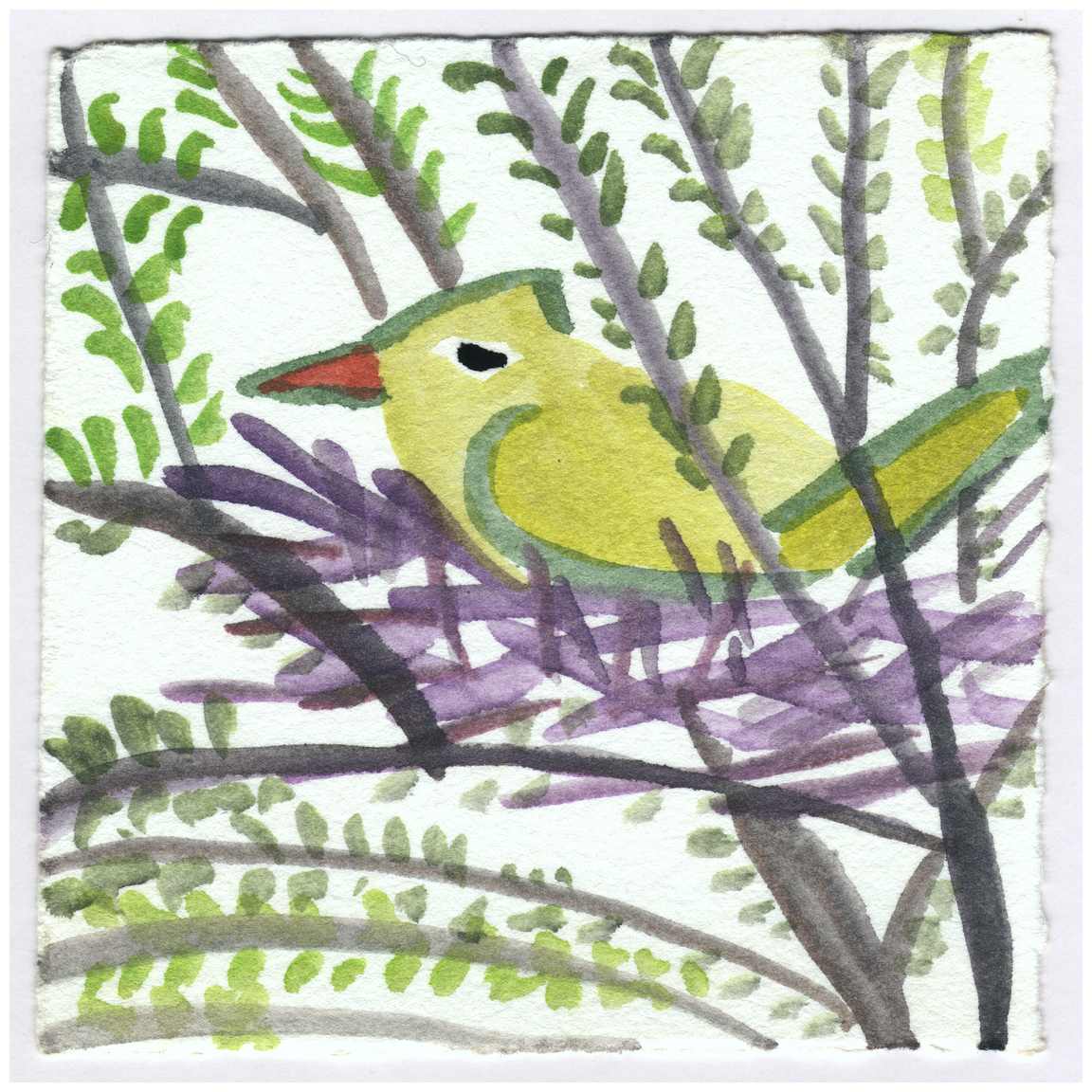 Cardinal in her Nest in the Barberry. #205 by Raya Bodnarchuk, Estate, Image 1.