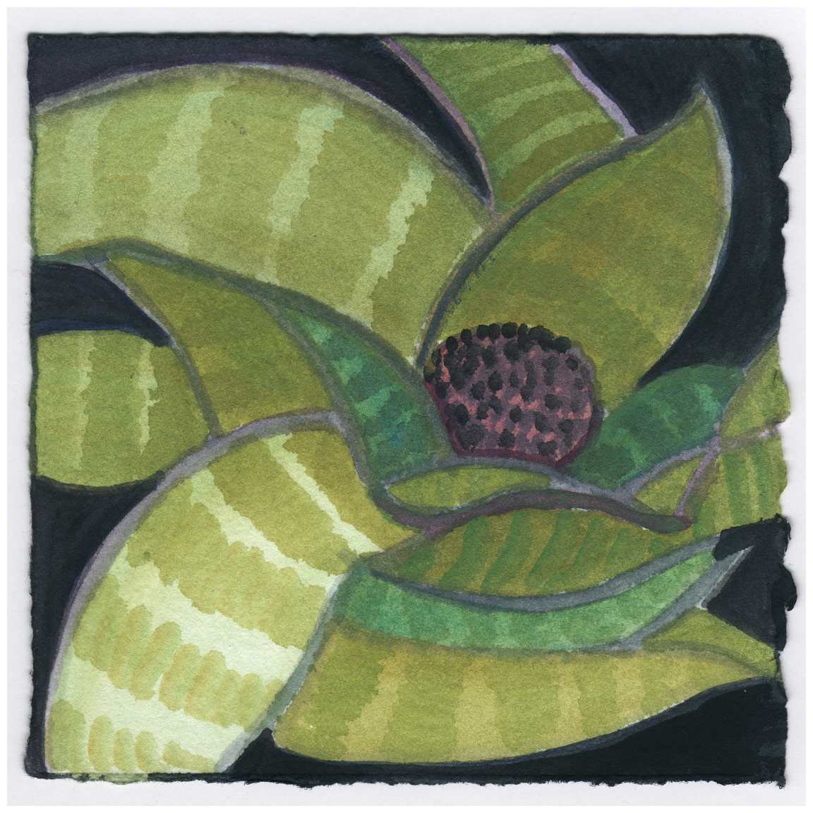 A Black Walnut in the Bromeliad. #323 by Raya Bodnarchuk, Estate, Image 1.