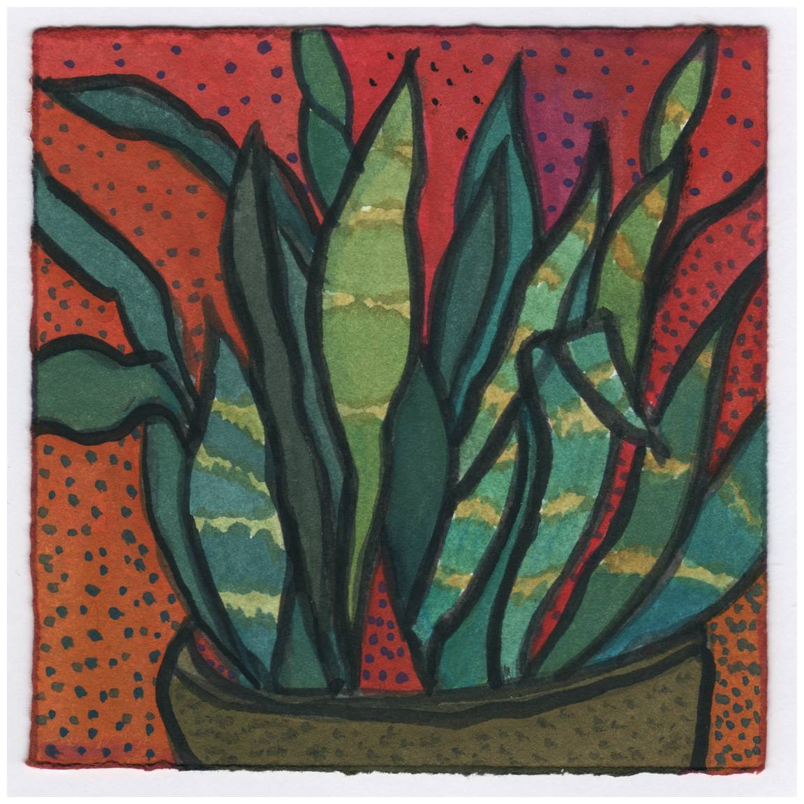 The Sansevieria. 12/30/14. #387 by Raya Bodnarchuk, Estate, Image 1.