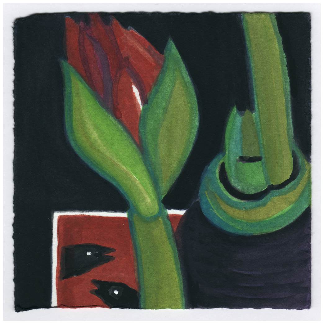 The Amaryllis. 1/9/15. #397 by Raya Bodnarchuk, Estate, Image 1.
