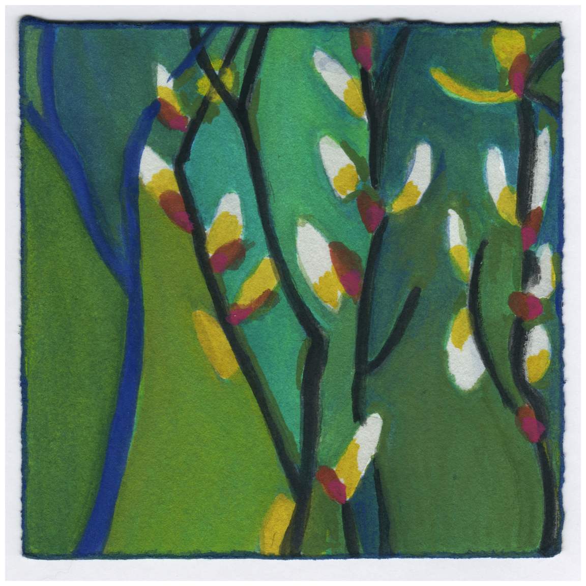 Pussy Willow. #465 by Raya Bodnarchuk, Estate, Image 1.