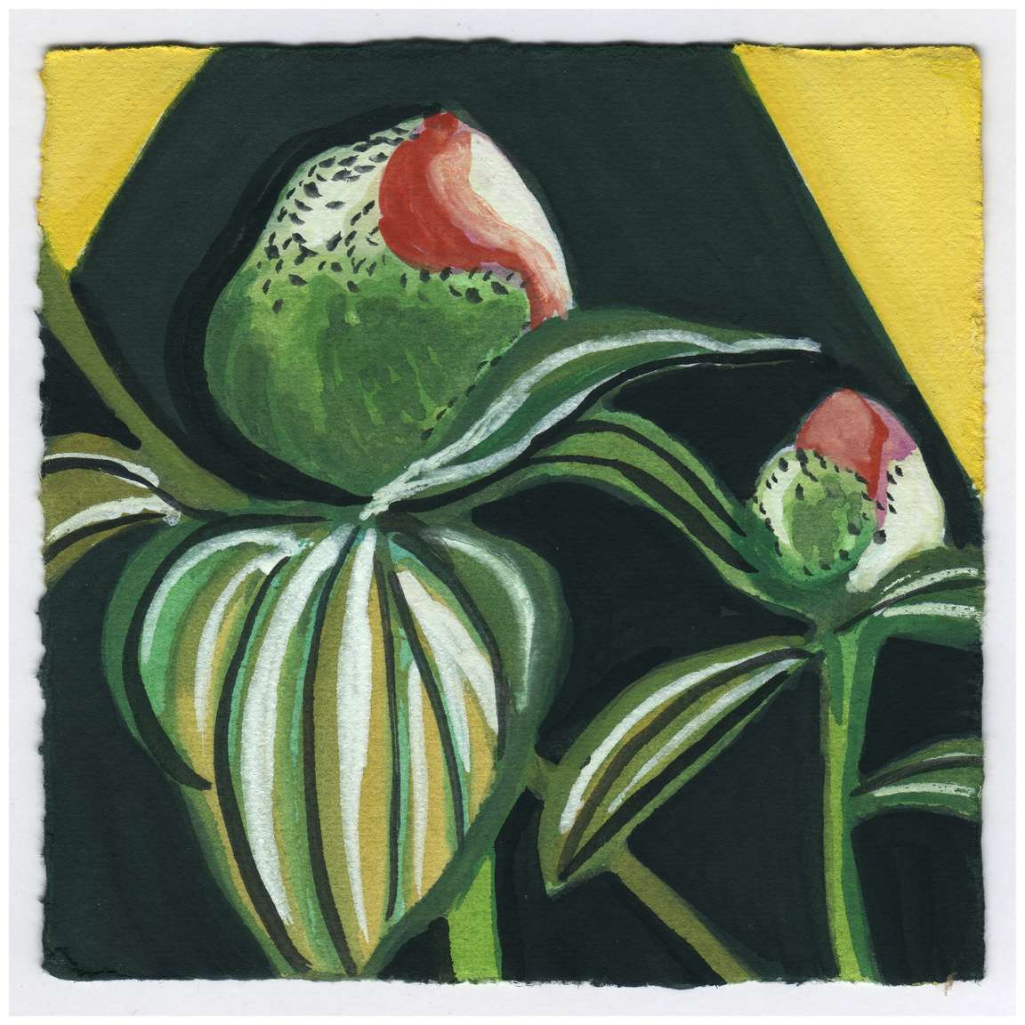 Peony Buds Tonight. #518 by Raya Bodnarchuk, Estate, Image 1.