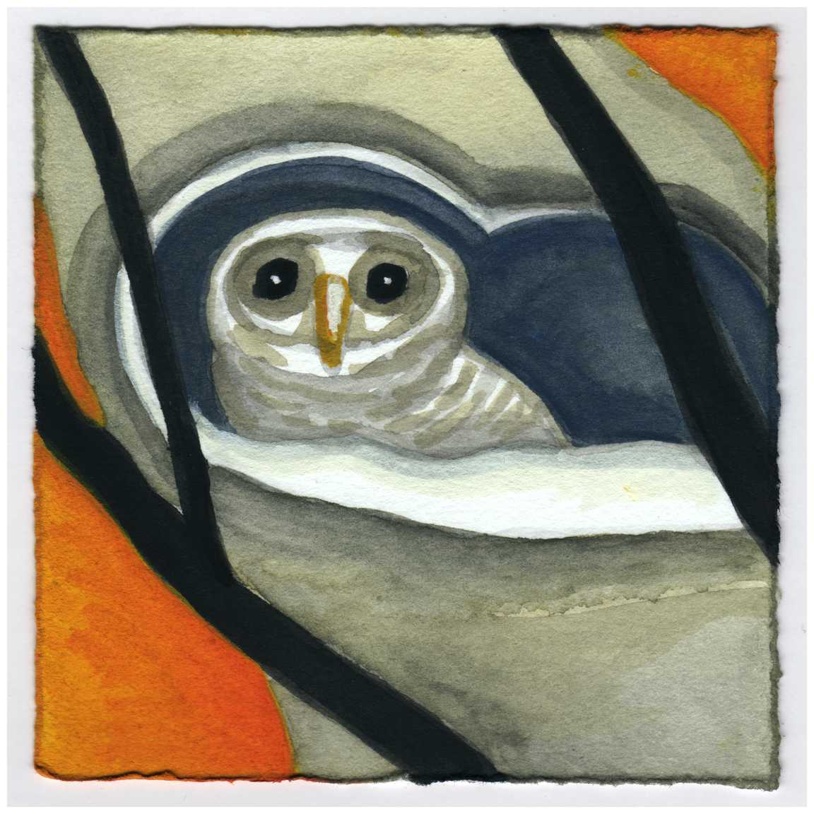 A Baby Owl Up in His Sycamore Nest. Near the Canal. #523 by Raya Bodnarchuk, Estate, Image 1.