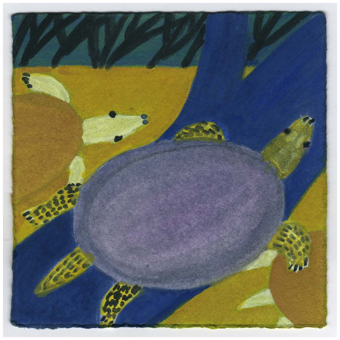 Turtles in the Evening. #524 by Raya Bodnarchuk, Estate, Image 1.