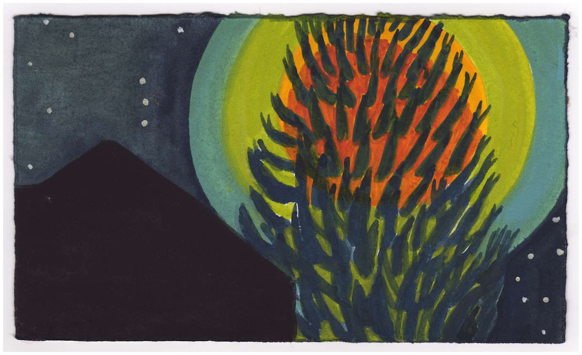 The Moon and Orion's Belt Behind the Larch. #695 by Raya Bodnarchuk, Estate, Image 1.
