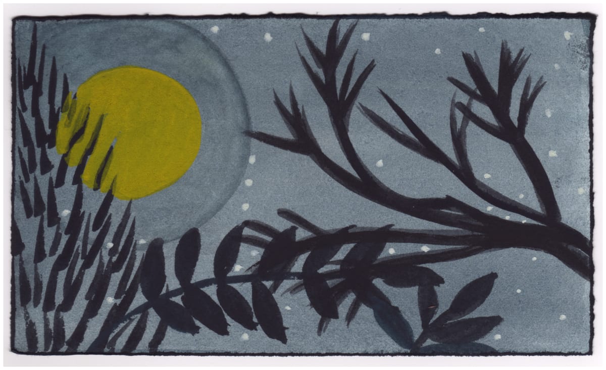 The Sky Tonight. #696 by Raya Bodnarchuk, Estate 