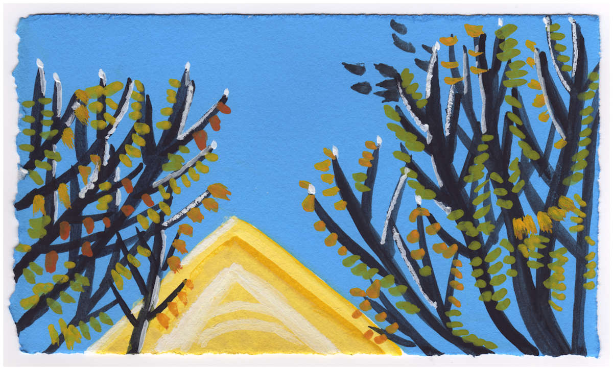 The Bluest Sky. 11/3/2015. #698 by Raya Bodnarchuk, Estate, Image 1.