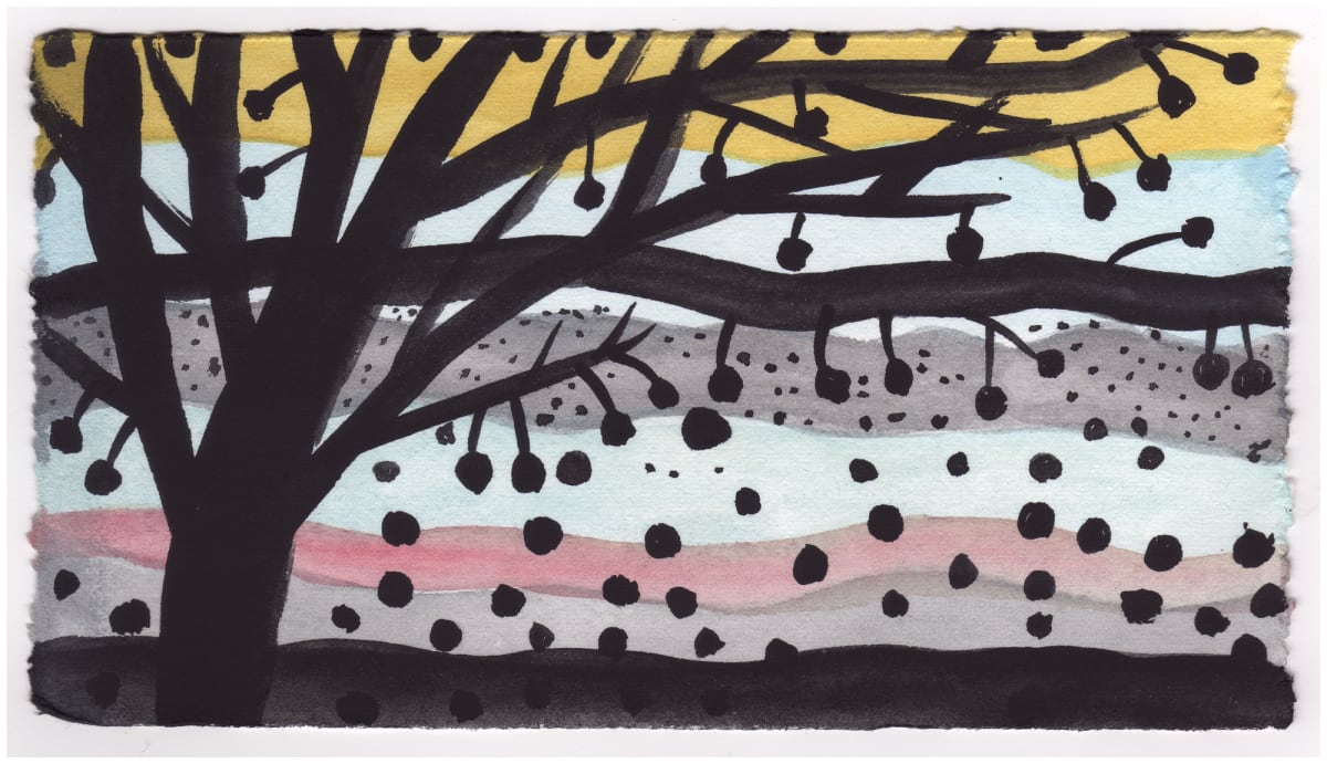 The Sweetgum Tree at Sunset. Millions of Spiked Fruits. #743 by Raya Bodnarchuk, Image 1.