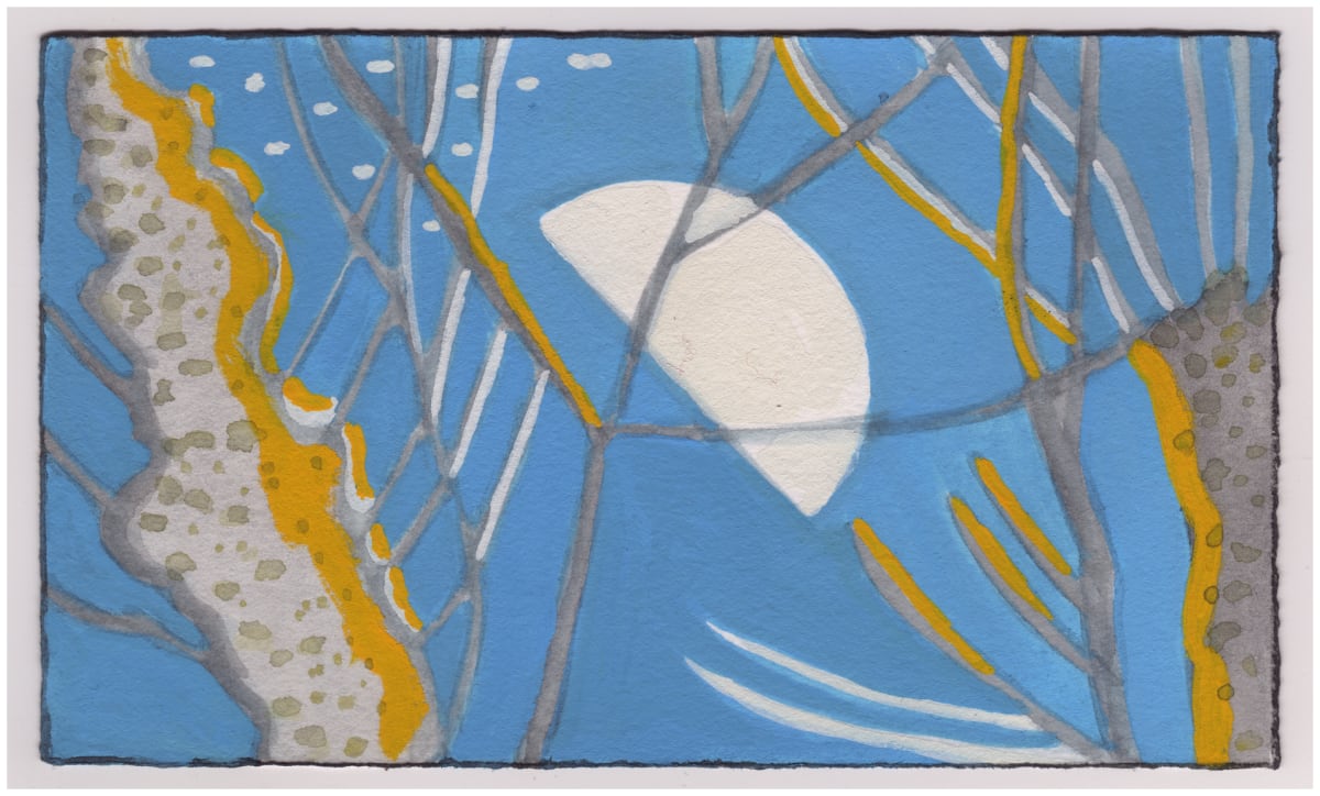 The Moon and Some Seagulls This Afternoon. #834 by Raya Bodnarchuk, Estate, Image 1.