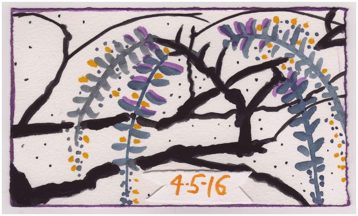 The Wisteria in Early Evening / Early Wisteria. #855 by Raya Bodnarchuk, Estate, Image 1.