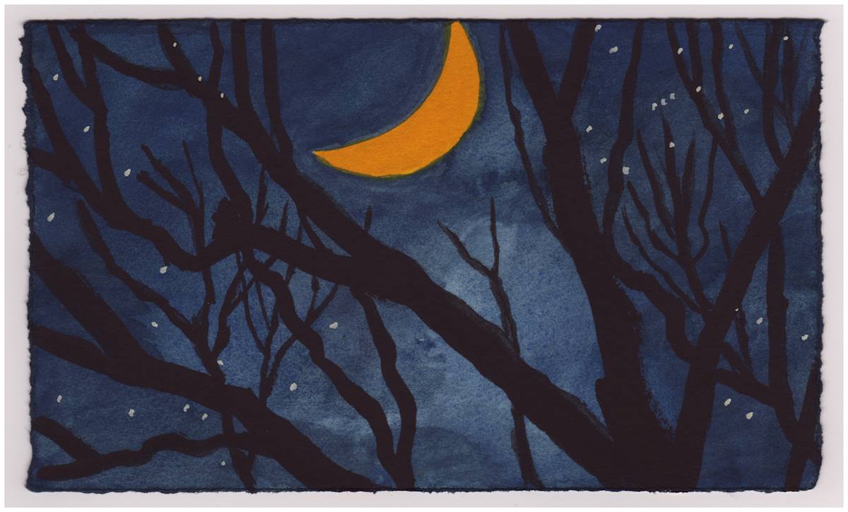 The Moon and the Sycamores. #862 by Raya Bodnarchuk, Estate, Image 1.