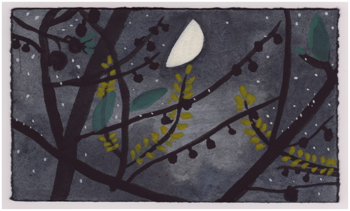 The Paw Paws Blooming in the Moonlight. #864 by Raya Bodnarchuk, Image 1.
