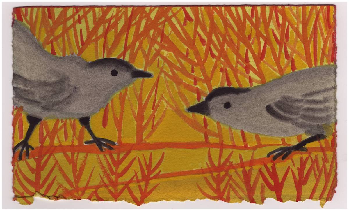 The Catbirds Are Back. #879 by Raya Bodnarchuk, Estate, Image 1.