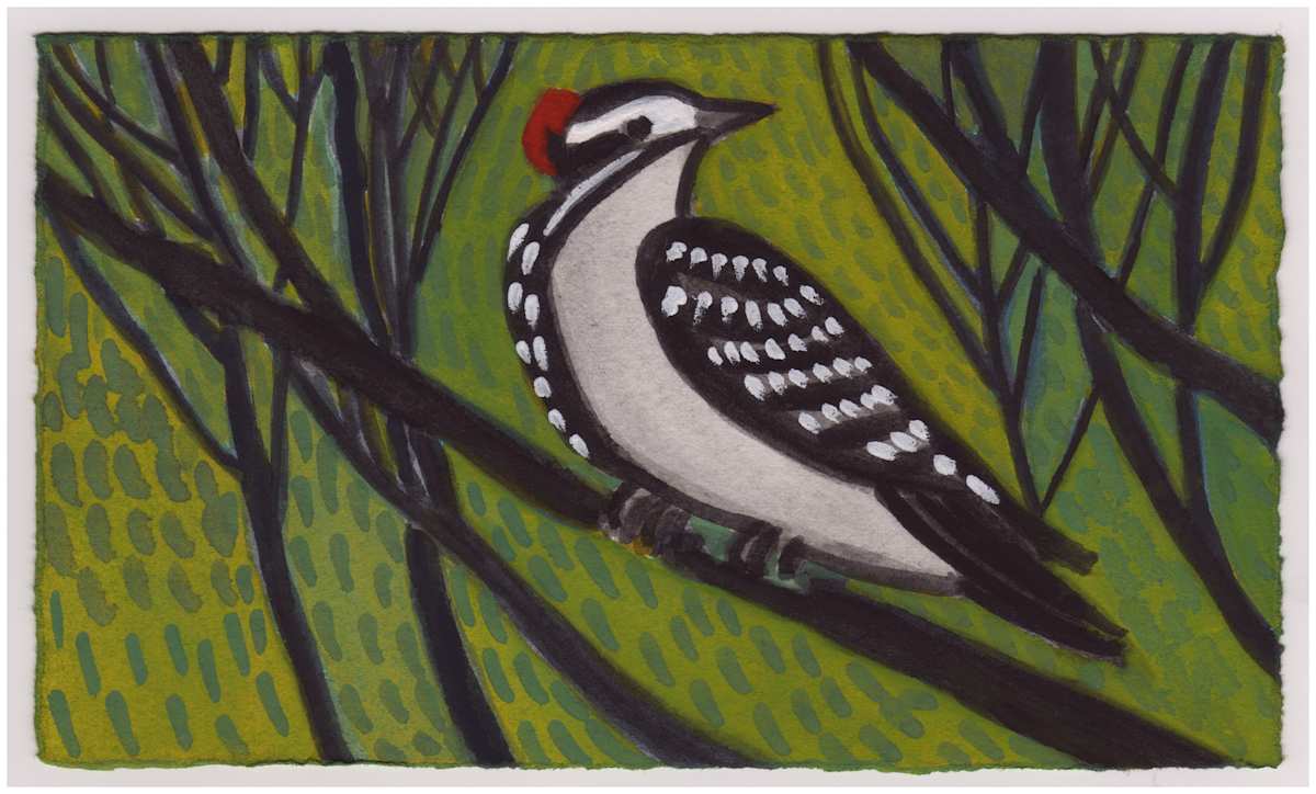 A Little Woodpecker. #883 by Raya Bodnarchuk, Estate, Image 1.